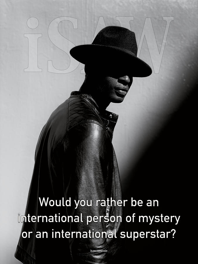 Would You Rather Be An International Person Of Mystery Or An International Superstar Digital Art