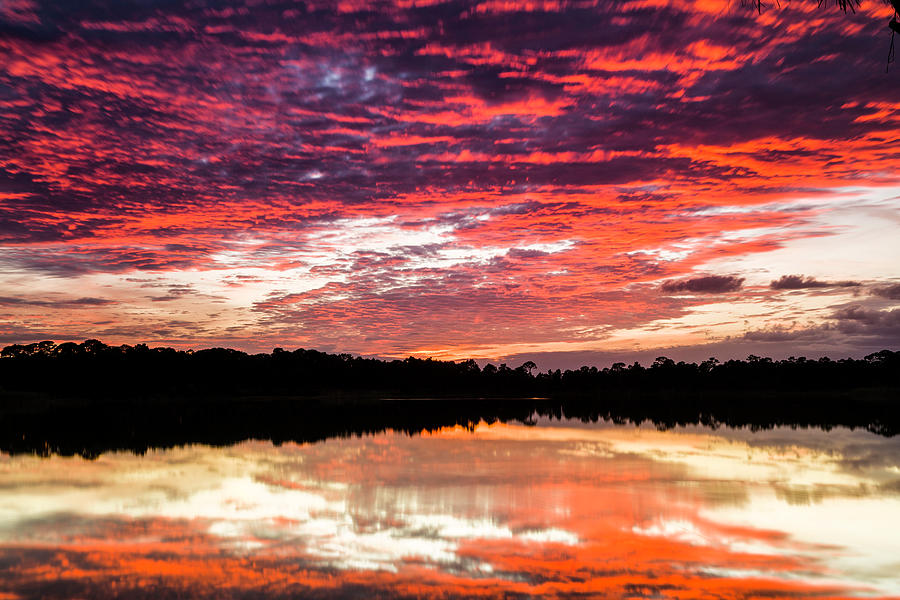 Wow Florida Sunset Photograph by Fran Gallogly