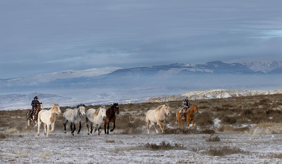 Wrangling Horses in the Bighorn Mountains Photograph by Cheryl Strahl Wrangling Horses in the Bighorn Mountains Photograph by Cheryl Strahl