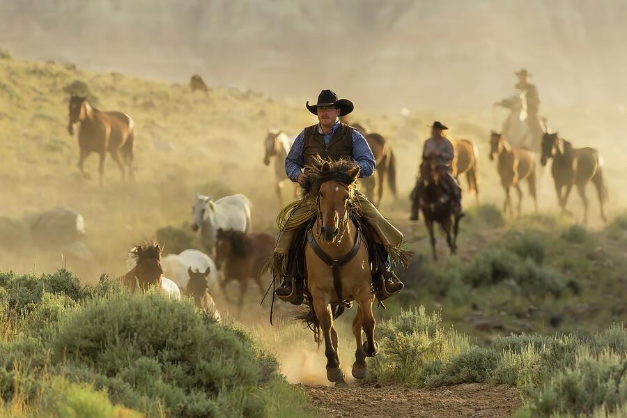 Mountain Photograph - Wrangling the Horses At Sunrise  by Kay Brewer