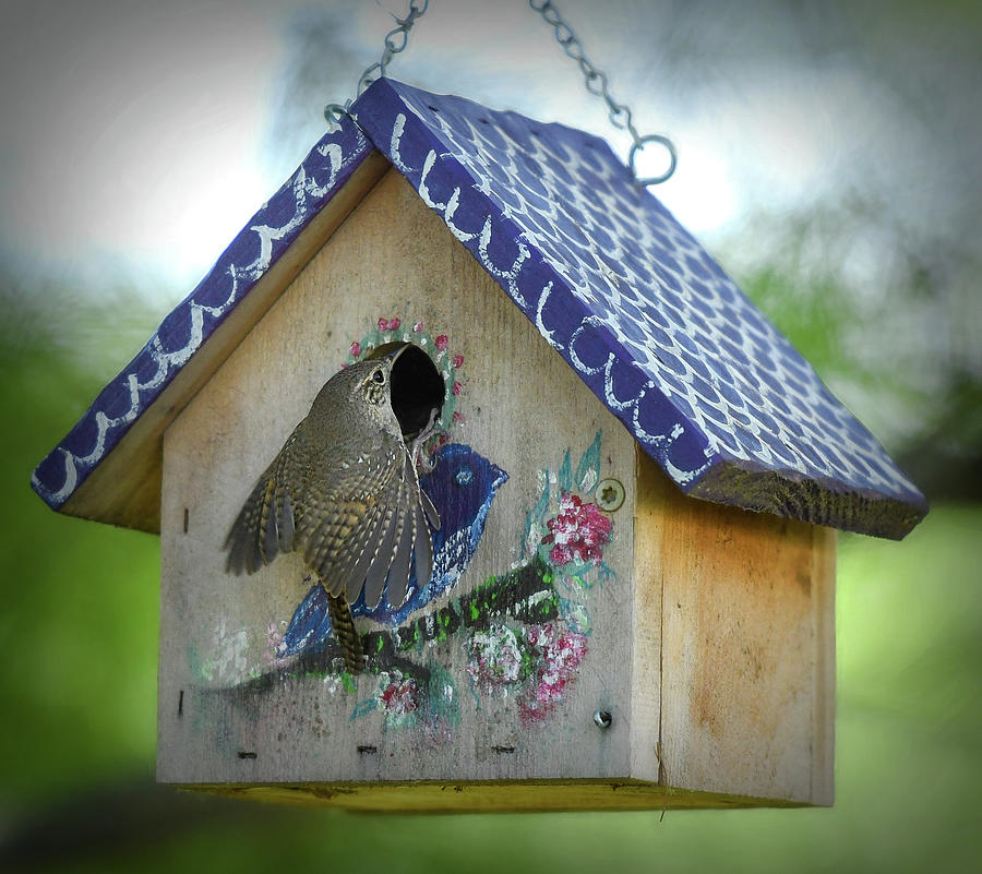 Bird Photograph - Wrens Home Sweet Home  by Mary Lynn Giacomini