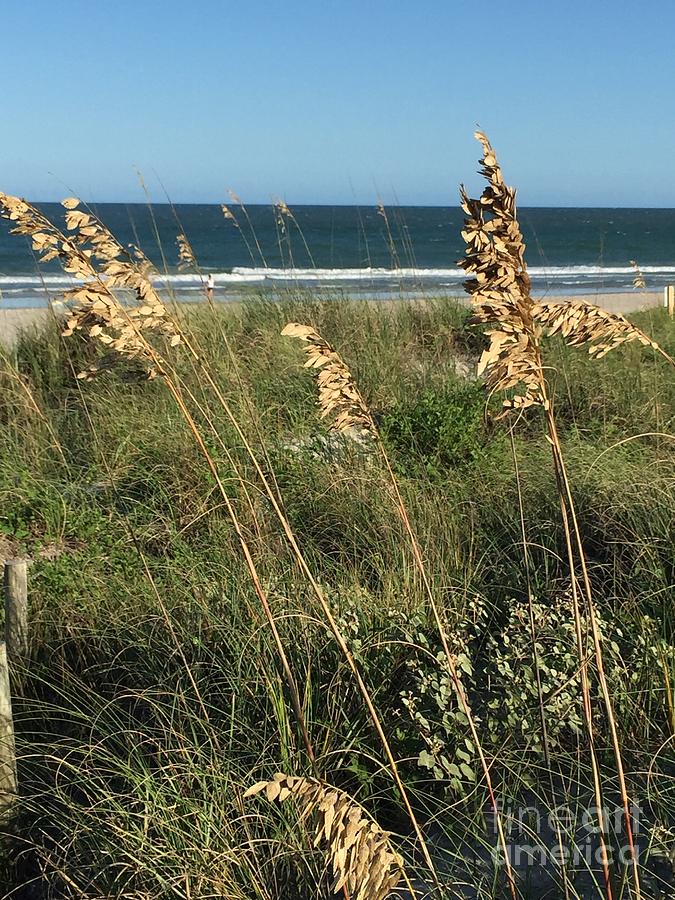 Wrightsville Beach Shell Island NC  Photograph by Catherine Ludwig Donleycott