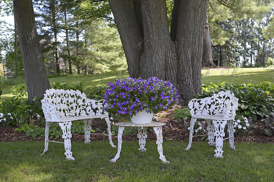 Wrought iron seating Photograph by Deb Perry