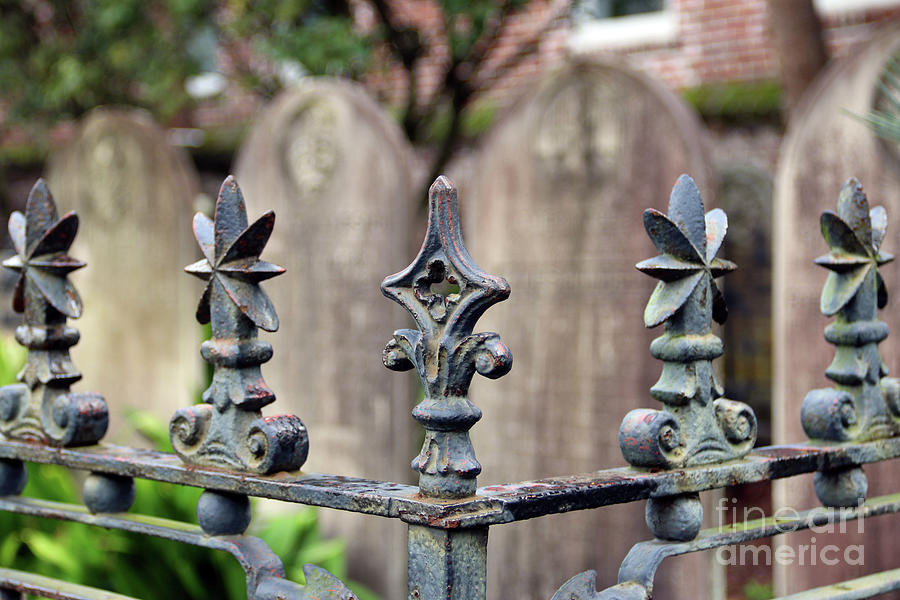 Wrought Iron Work in St Michaels Graveyard Charleston 9153 Photograph by Jack Schultz