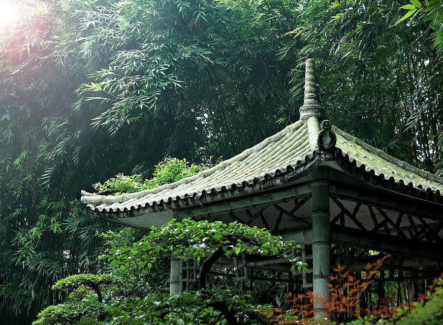 Wuhou Temple Garden 2 Photograph