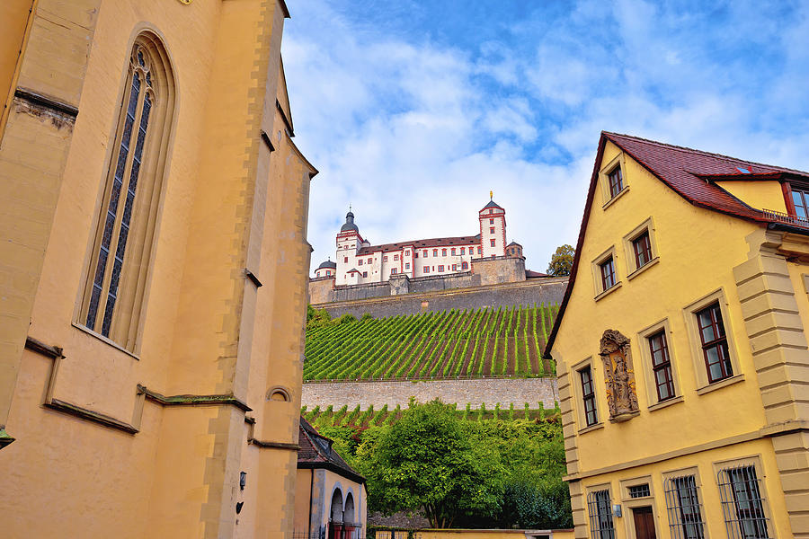 Wurzburg. Architecture and and scenic Wurzburg castle and vineya Photograph by Brch Photography