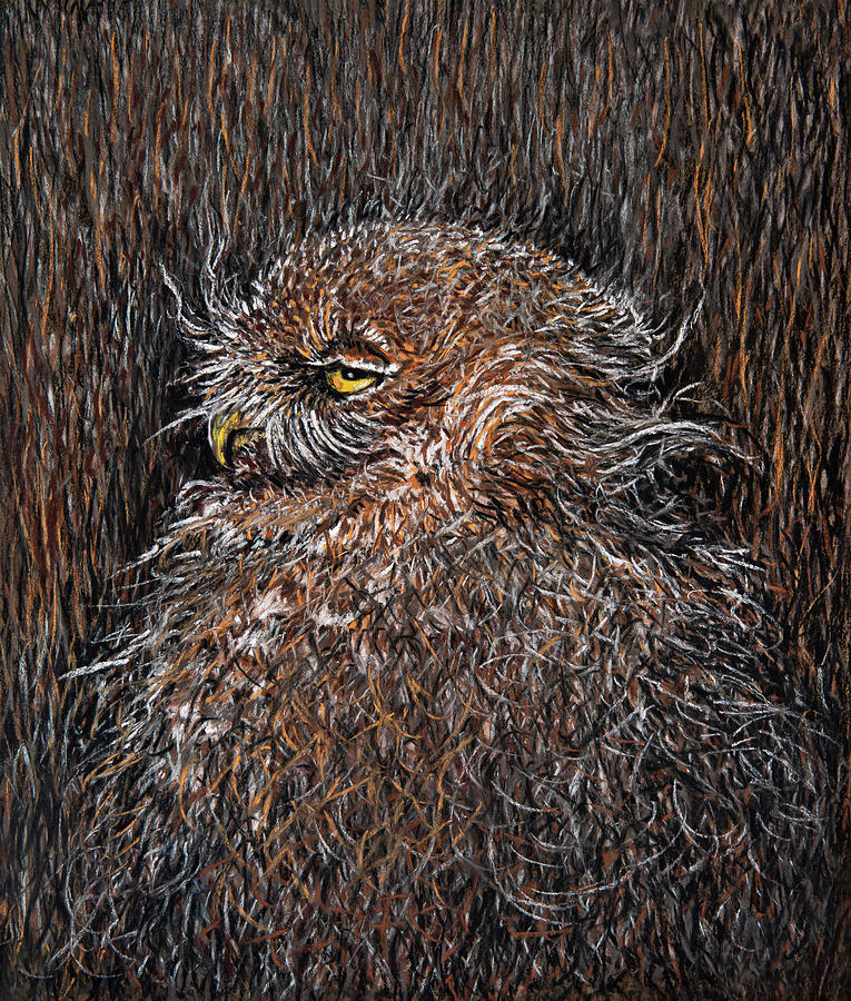 Pastel Pastel - Mimicry of a burrowing owl by Varvara Medvedeva Pastel Pastel - Mimicry of a burrowing owl by Varvara Medvedeva