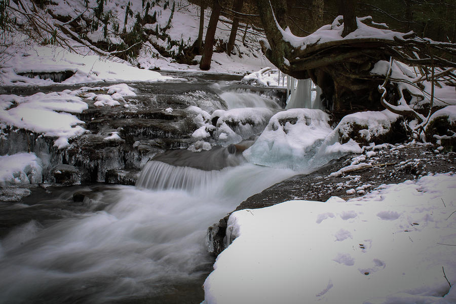 Winter Photograph - Wykoff Run Splash Dam by David Kipp