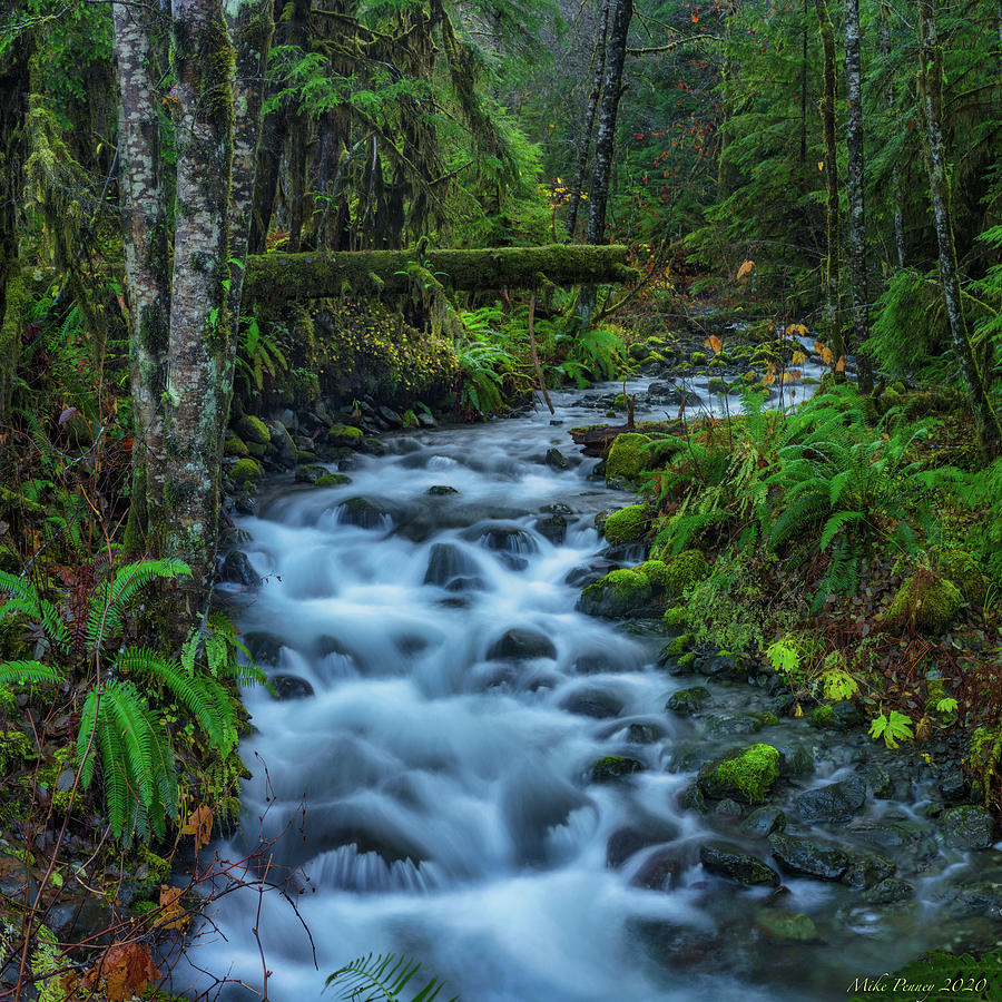 Wynoochee River 11-20-017 Photograph by Mike Penney