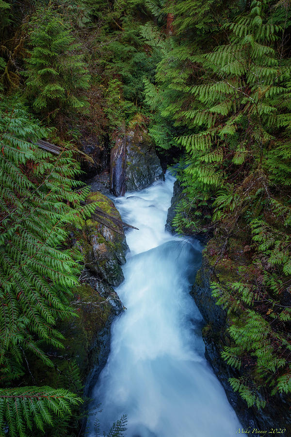 Wynoochee river 880 Photograph by Mike Penney