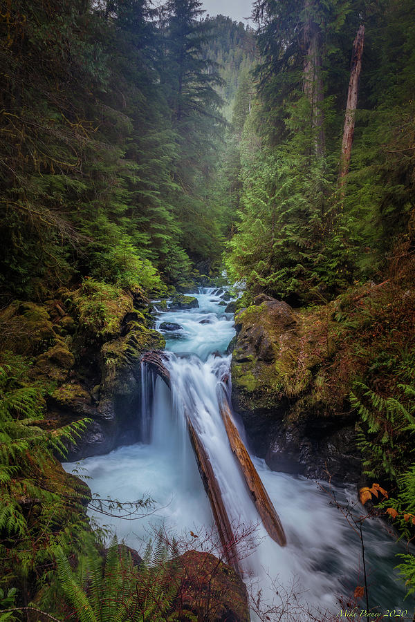 Wynoochee river 885 Photograph by Mike Penney - Fine Art America