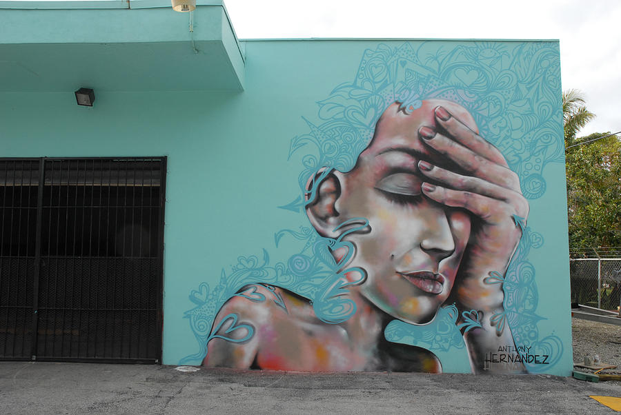 Wynwood Art District Mural, Miami, Florida Photograph by Earth And Spirit