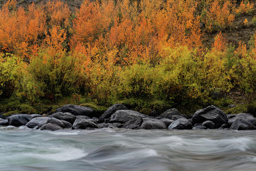 Wyoming Fall Creek Photograph by Julieta Belmont