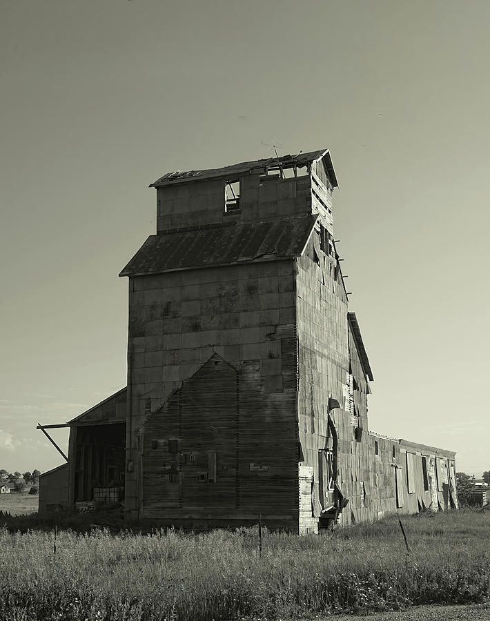 Newell Grain Elevator  Photograph by Cathy Anderson