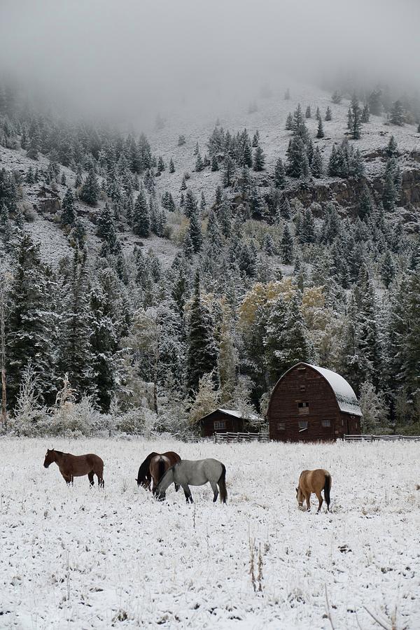 Wyoming Horse Ranch Photograph by Arthur Oleary