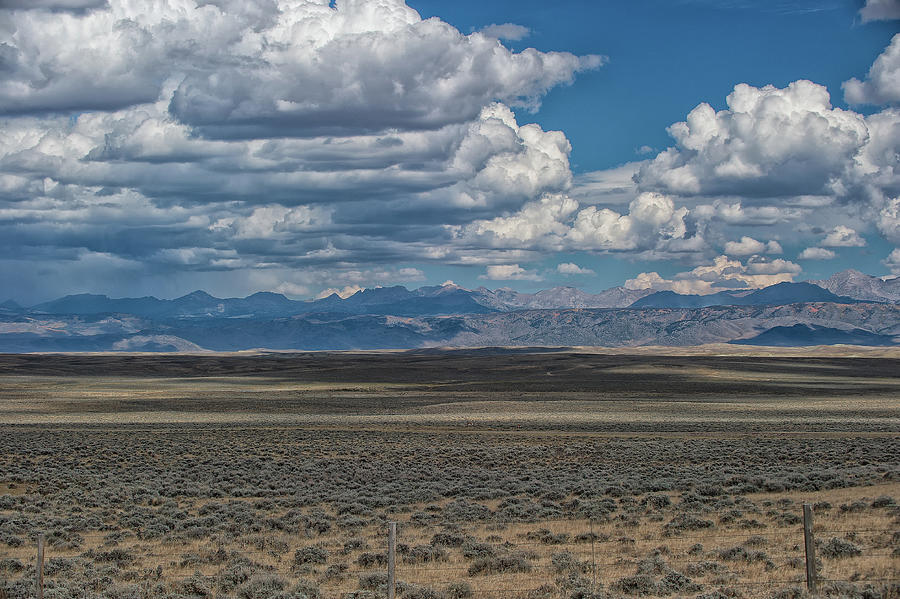 Wyoming mountains with Pronghorns Photograph by Doug Wittrock