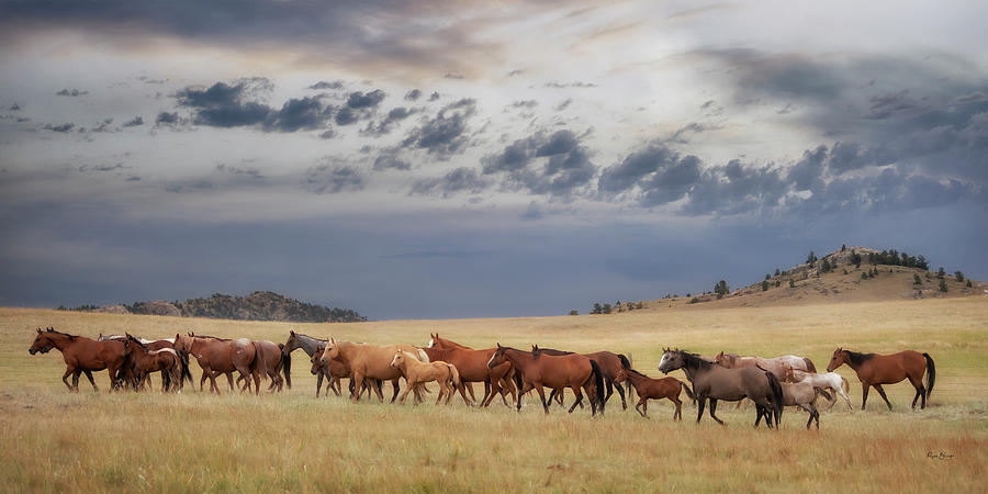 Wyoming Range Photograph by Phyllis Burchett