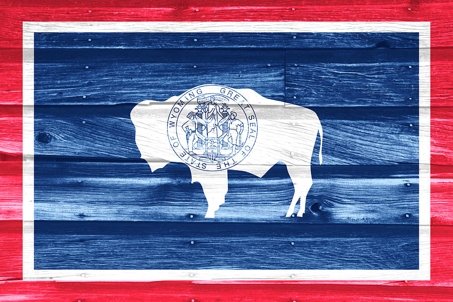 Wyoming State Flag Photograph