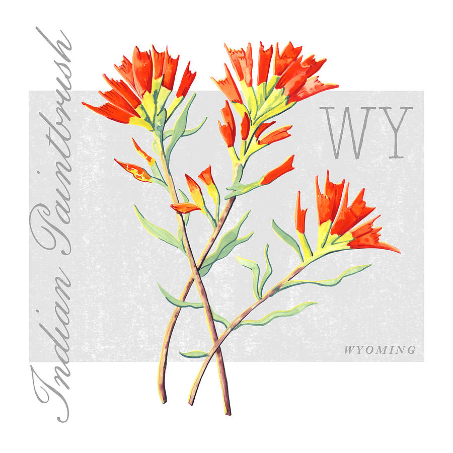 Wyoming State Flower Indian Paintbrush Art by Jen Montgomery Painting by Jen Montgomery