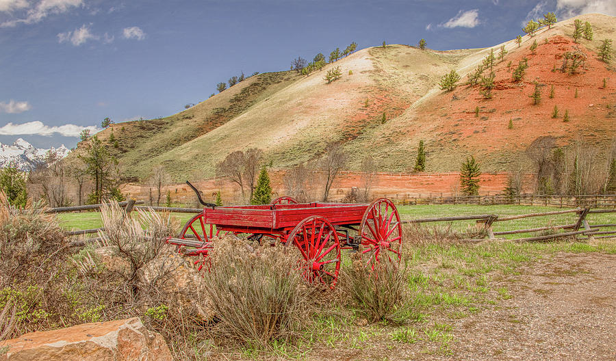 Wyoming Wagon in Spring Photograph by Marcy Wielfaert