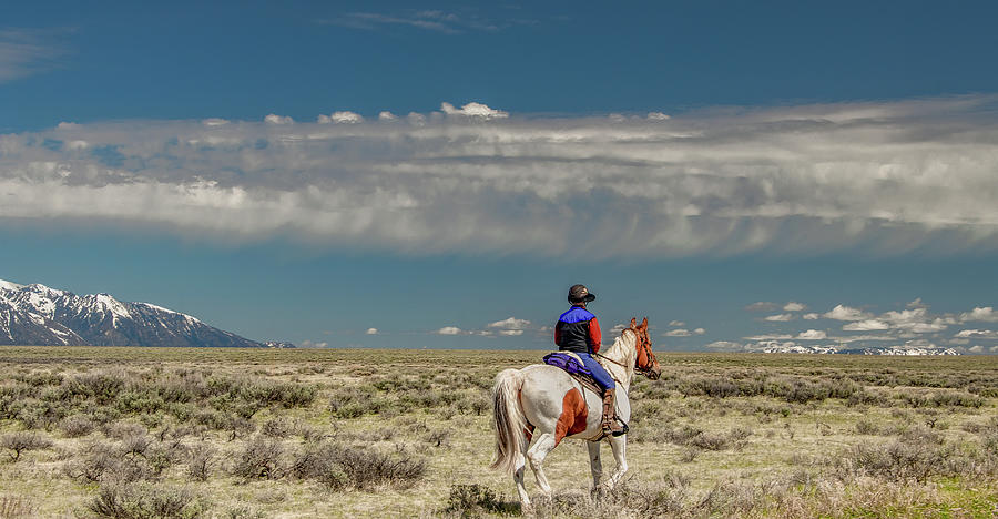 Wyoming Wide Open Photograph by Marcy Wielfaert