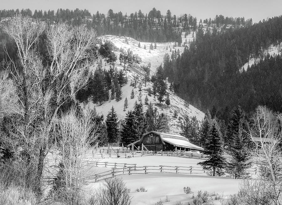 Wyoming Winter, Black and White Photograph by Marcy Wielfaert
