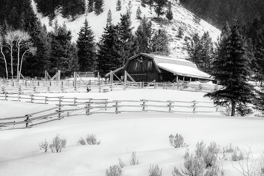 Wyoming Winter Day, Black and White Photograph by Marcy Wielfaert
