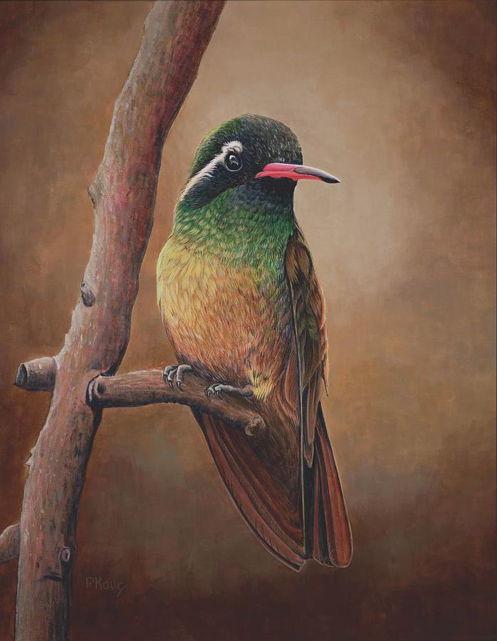 Xantuss Hummingbird Painting