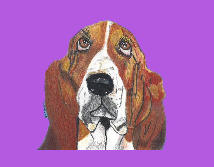 Xavier the Basset Hound with transparent background Mixed Media by Ali Baucom