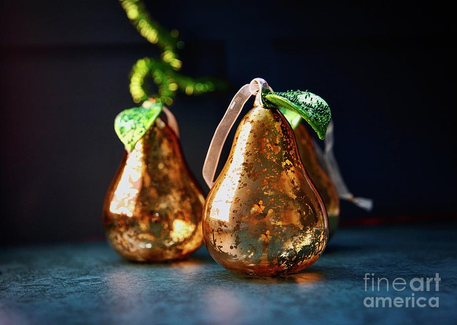 Xmas Antiqued Pears  Photograph by Lynn England