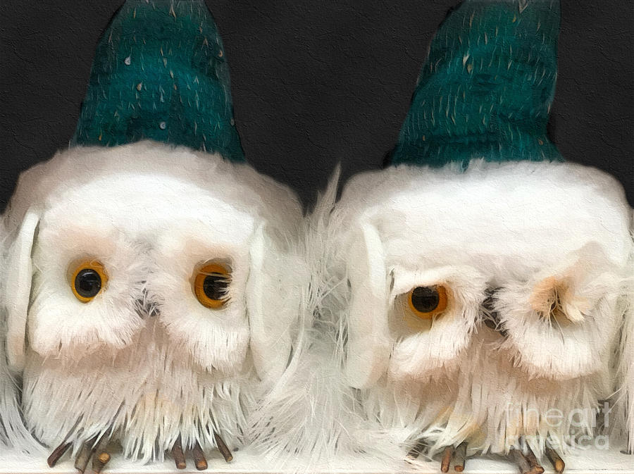 Xmas Owls Photograph by Diana Rajala