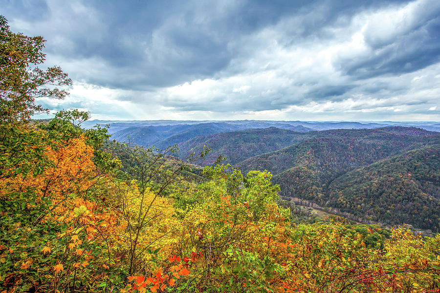 Kentucky Vista Photograph by Ed Newell