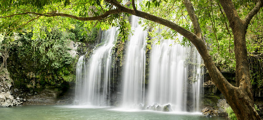 XXXL: Panoramic of tropical waterfall with backlit leaves Photograph by OGphoto