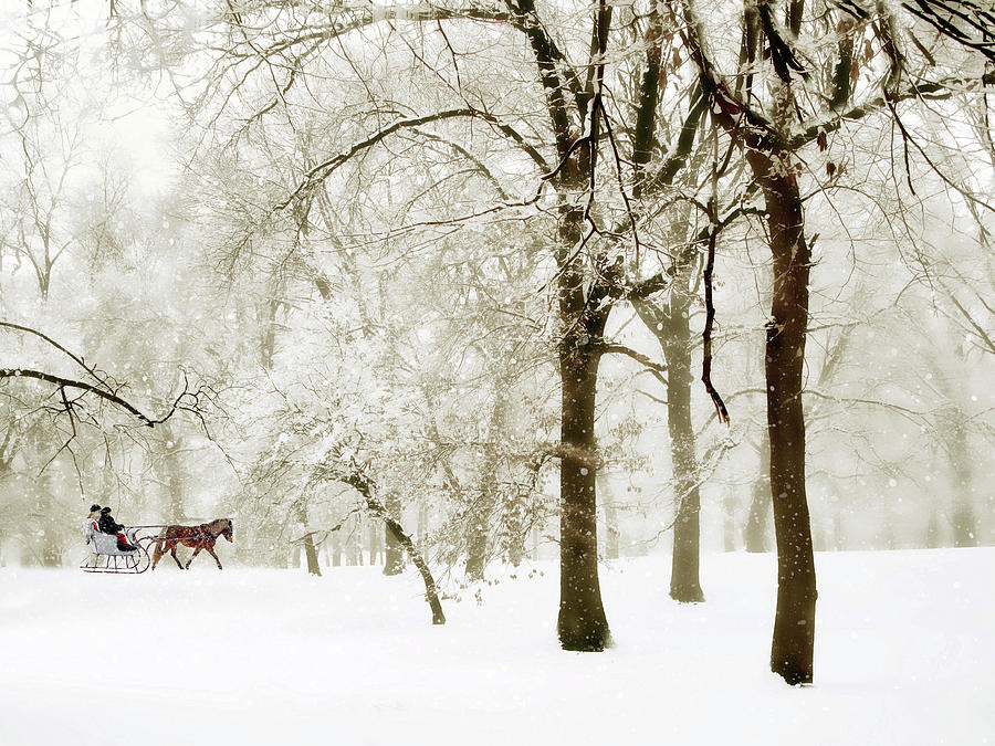 Sleigh Ride Home Photograph by Jessica Jenney