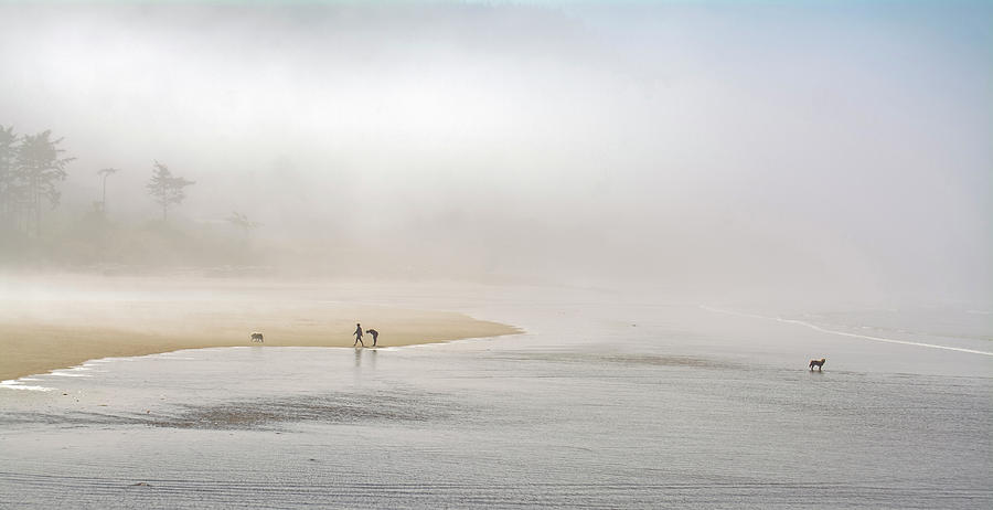 Yachats Bay Mist 8391-090821-2 Photograph by Tam Ryan