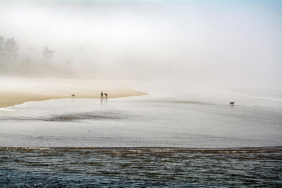 Yachats Bay Mist 8391-090821 Photograph by Tam Ryan