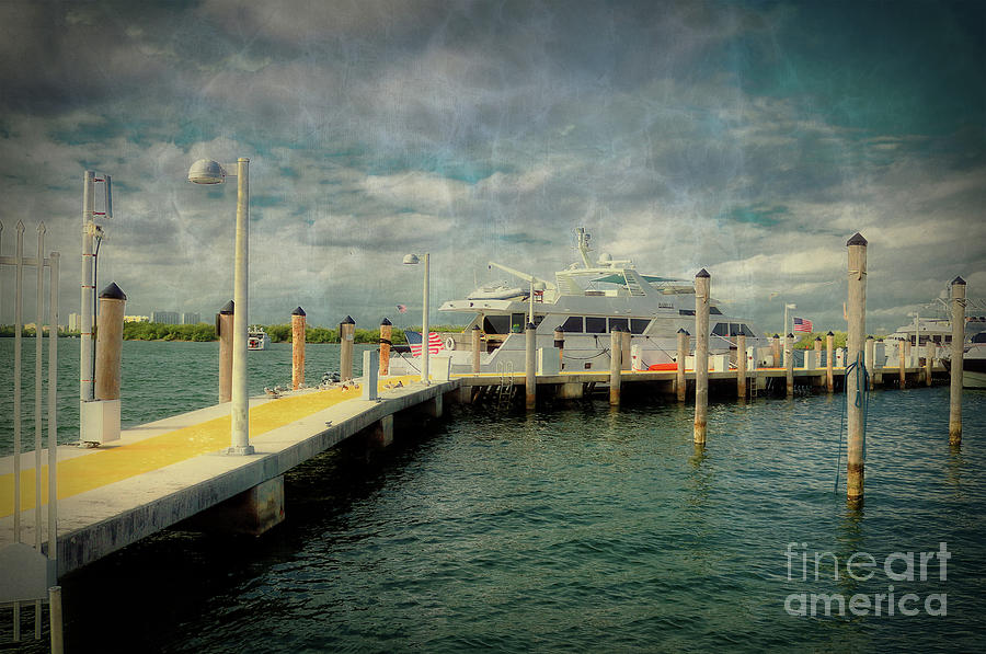 Yacht Cruisers In Miami - Study IIi Photograph