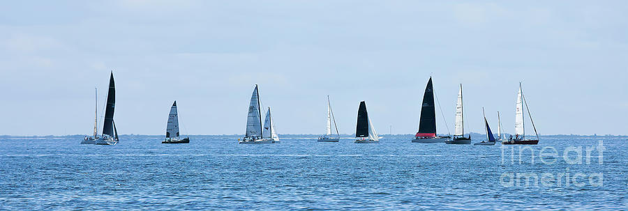 Yacht Race Photograph by Felix Lai