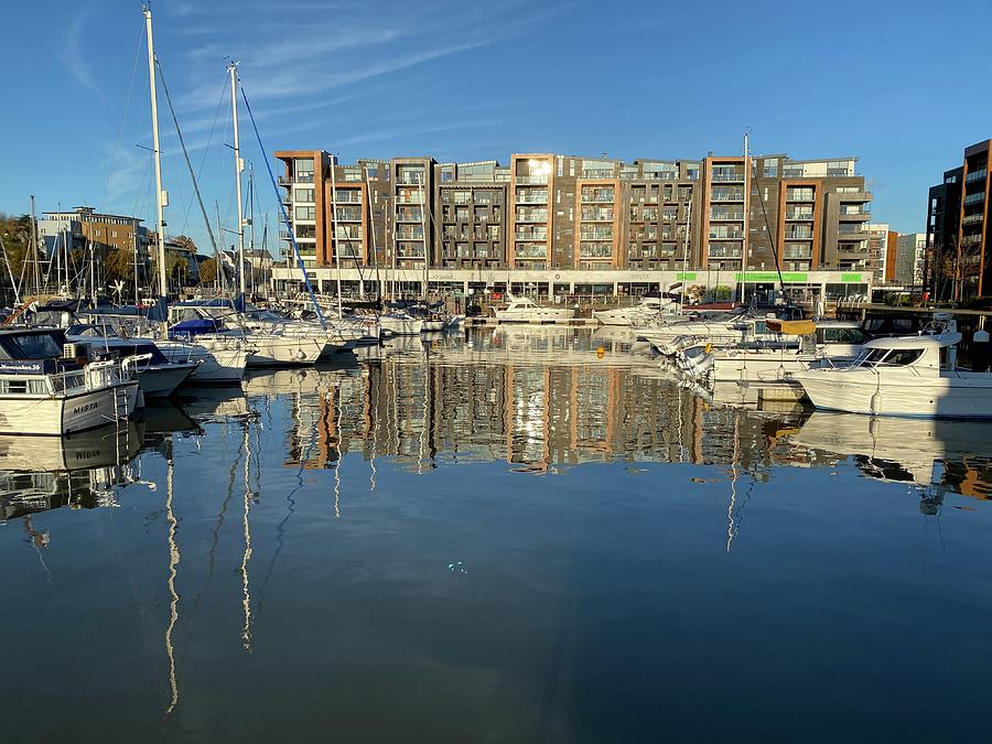 Yachts in a marina Photograph by Ron Morgans - Fine Art America