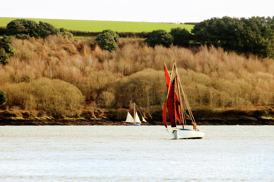 Yachts in Carrick Roads Photograph by Terri Waters