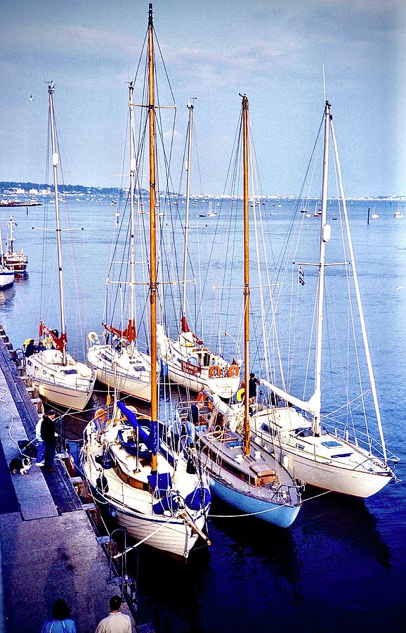 Yachts in Poole Harbour Photograph by Gordon James