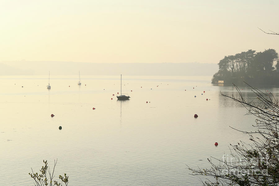 Yachts On A Misty Morning Photograph