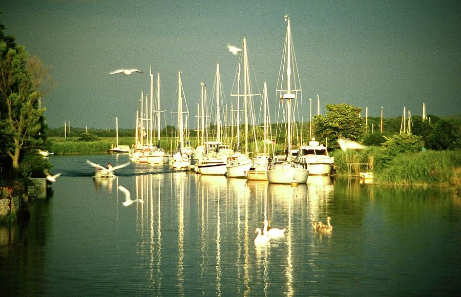 Yachts on the  River Frome Wareham Photograph by Gordon James