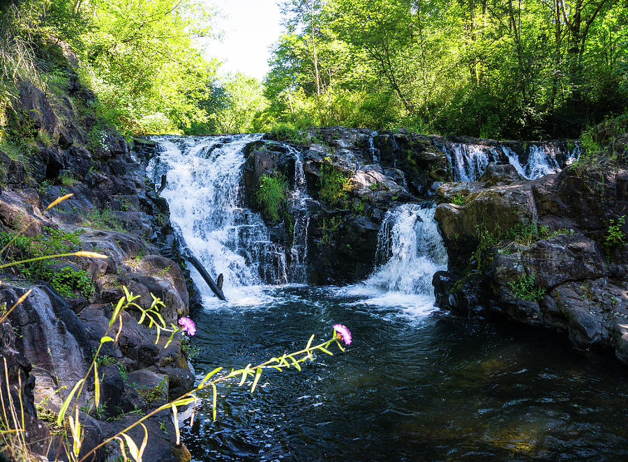 Yacolt Creek Falls Photograph by Peggy McCormick