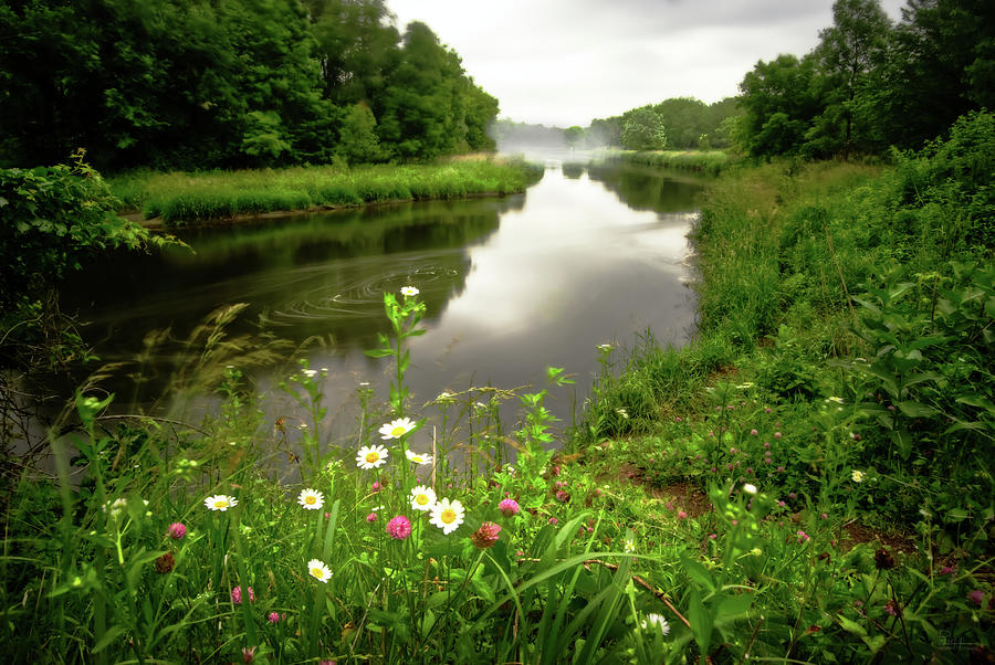 Yahara Gyre with Flowers from Stebbinsville Road WI Photograph by Peter Herman
