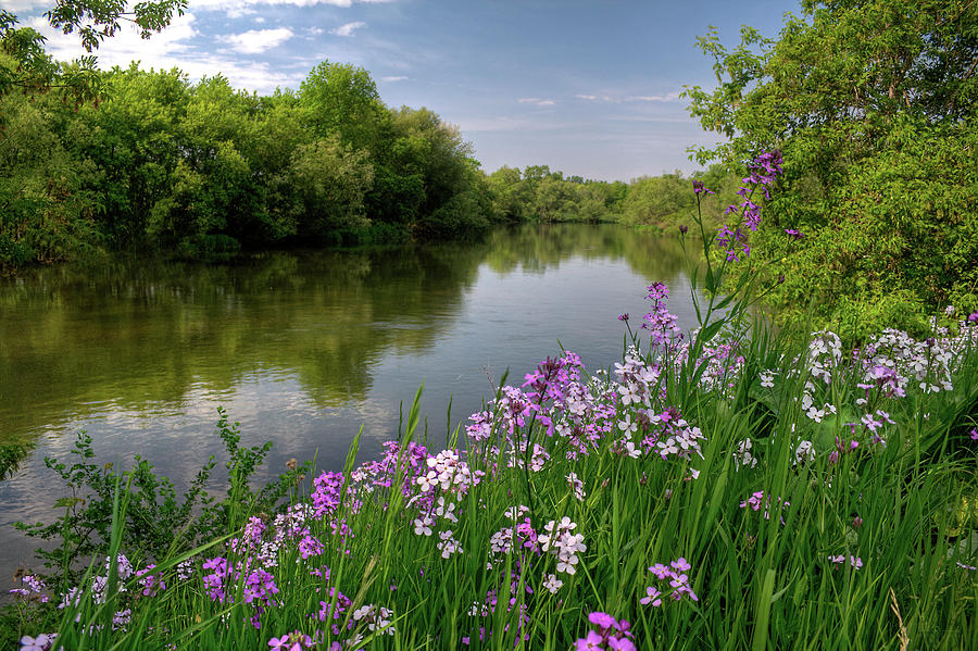 Yahara River in Spring with Flowers Photograph by Peter Herman