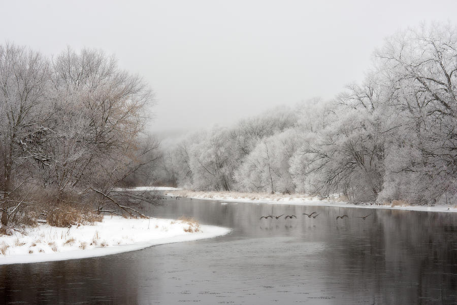 Yahara Winterscape - Yahara river near Stoughton WI with geese flying Photograph by Peter Herman