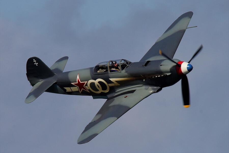 Yak 3 Photograph by Neil R Finlay