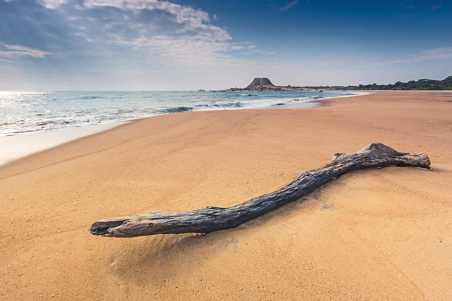 Yala beach Photograph by Daniele Carotenuto Photography