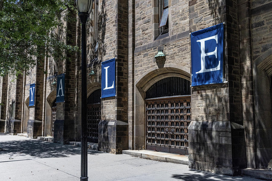 Yale banner at Yale University Photograph by Eldon McGraw